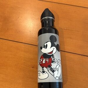 Disney Chase Visa stainless steel water bottle
